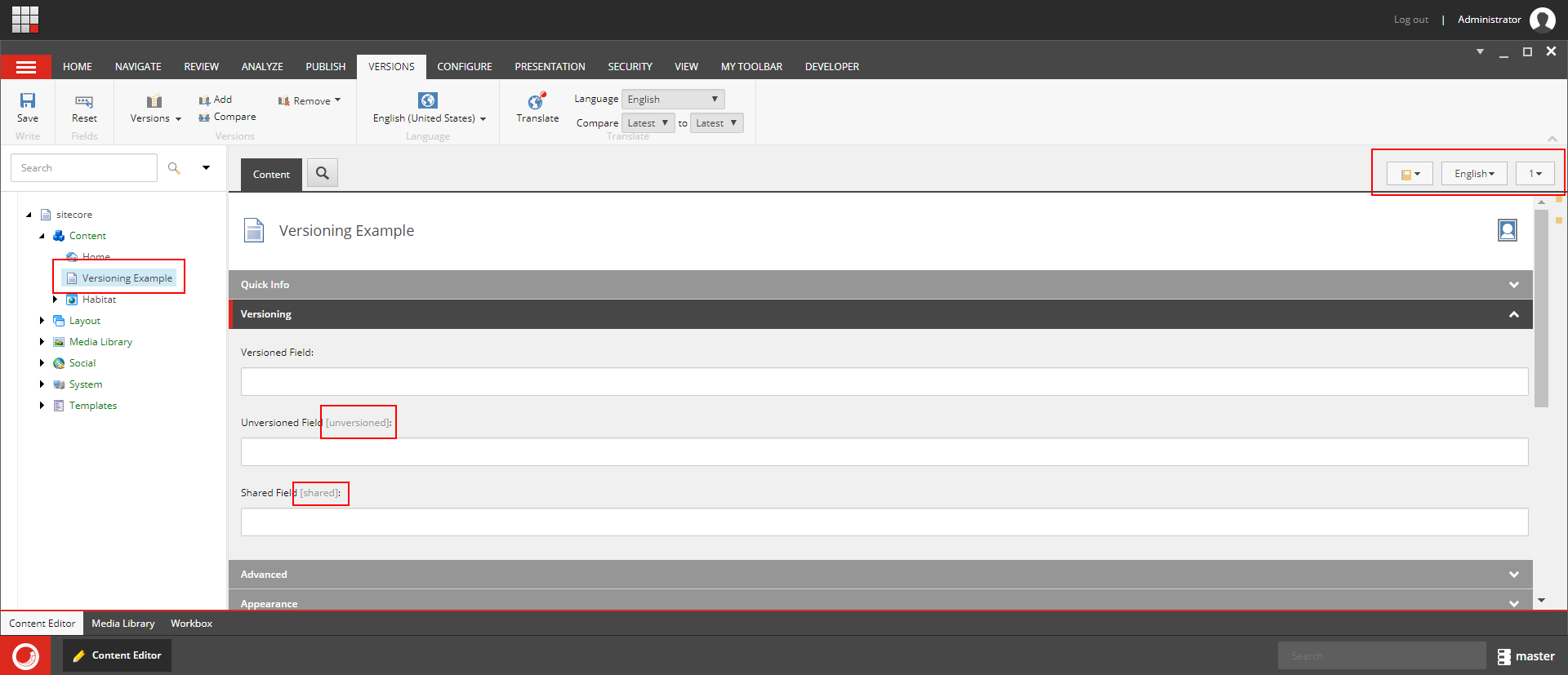 Versioning Example Item
